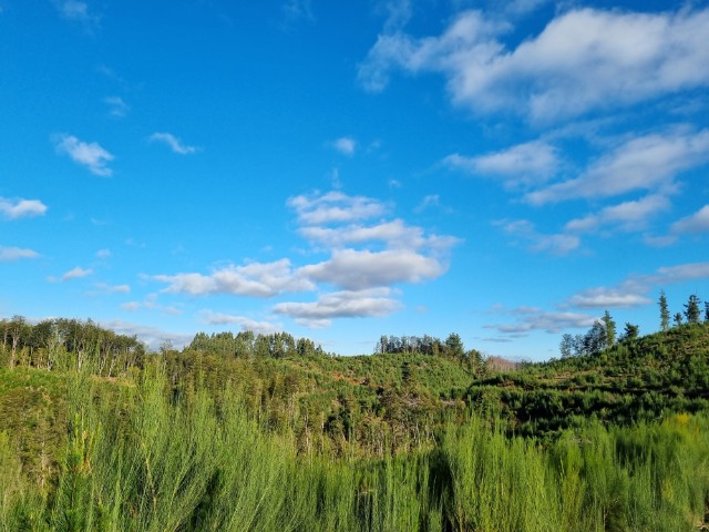 parcelas-casa-blanca