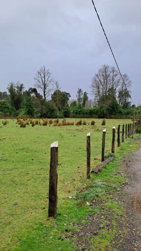 parcela-paillaco
